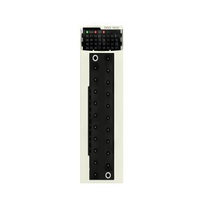 Module E/S Schneider Electric MXDDO1602