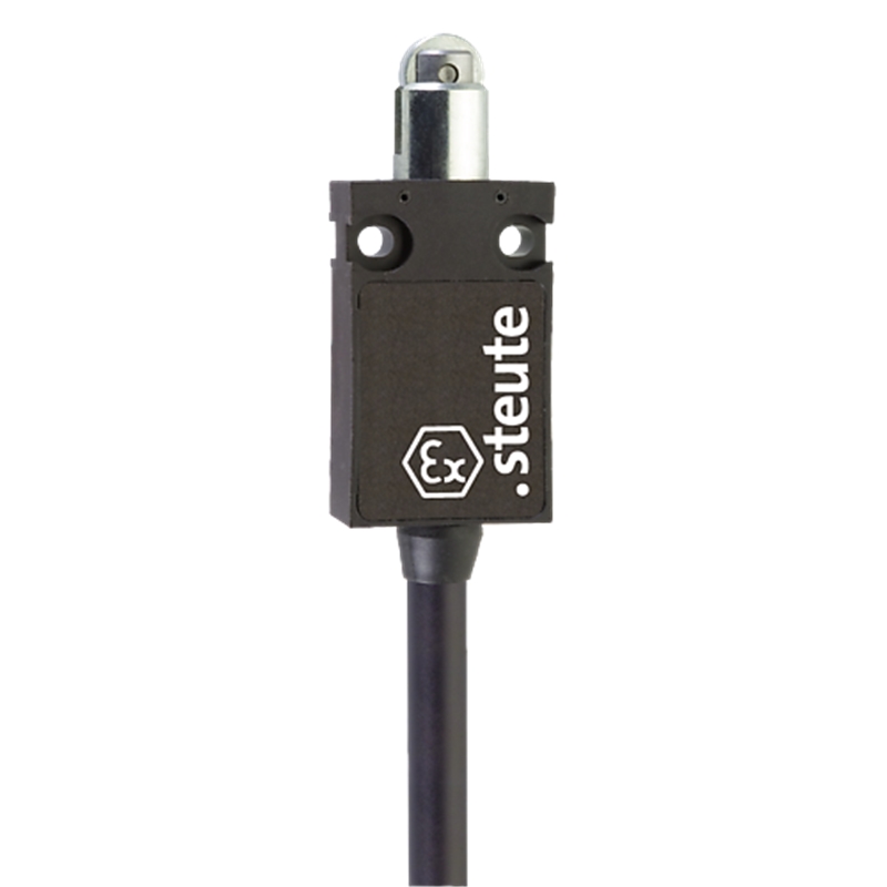Fins de courses STEUTE 1173979 | ExM 14 R 1Ö/1S - 2m