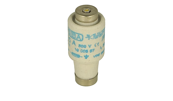 Fusibles de bouteille SIBA 10-005-07/25A