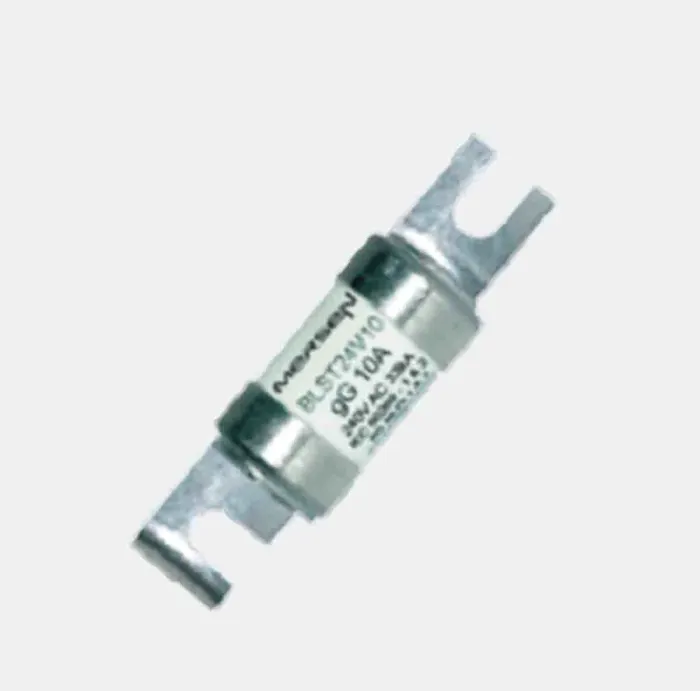 Fusibles a pattes Mersen D1065685 / BLST24V02