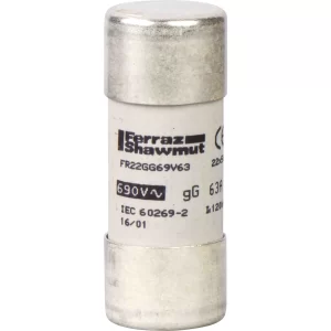 Fusibles cartouches Schneider Electric DF2FN100