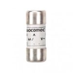 Fusibles a pattes Socomec  170L2240