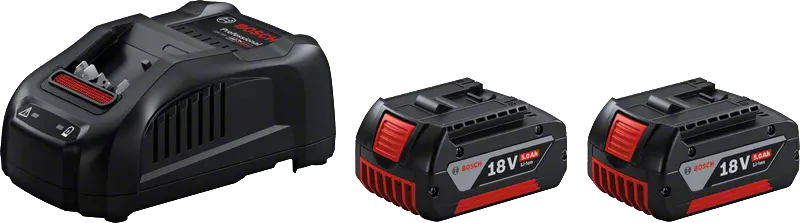 2 batteries GBA 18V 5.0Ah+GAL 1880 CV (1600A00B8J) BOSCH
