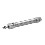 Vérins pneumatiques AVENTICS R481624856