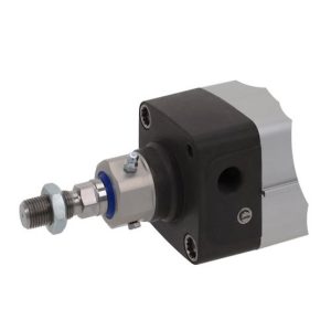 Vérins pneumatiques AVENTICS  R481609726