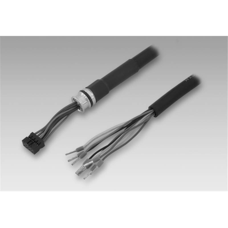Accessoires pour capteurs BAUMER FS_A-Kabel sw10 K21BG8/A 65-SL NIo-01000