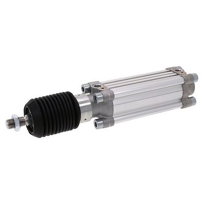 Vérins pneumatiques AVENTICS PRA-DA-100-0125-0322119100000000000000-B