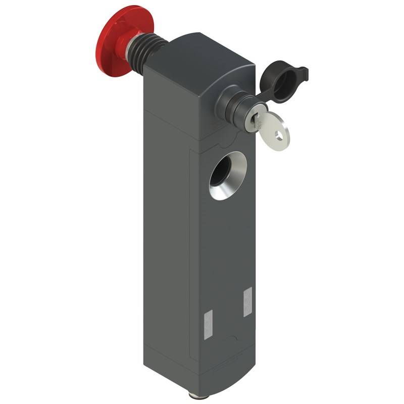 Interrupteurs de sécurité PIZZATO NS D4SE1SM0.2