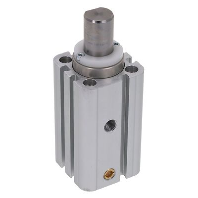 Vérins pneumatiques AVENTICS R452000796