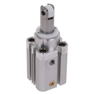 Vérins pneumatiques AVENTICS R452000683